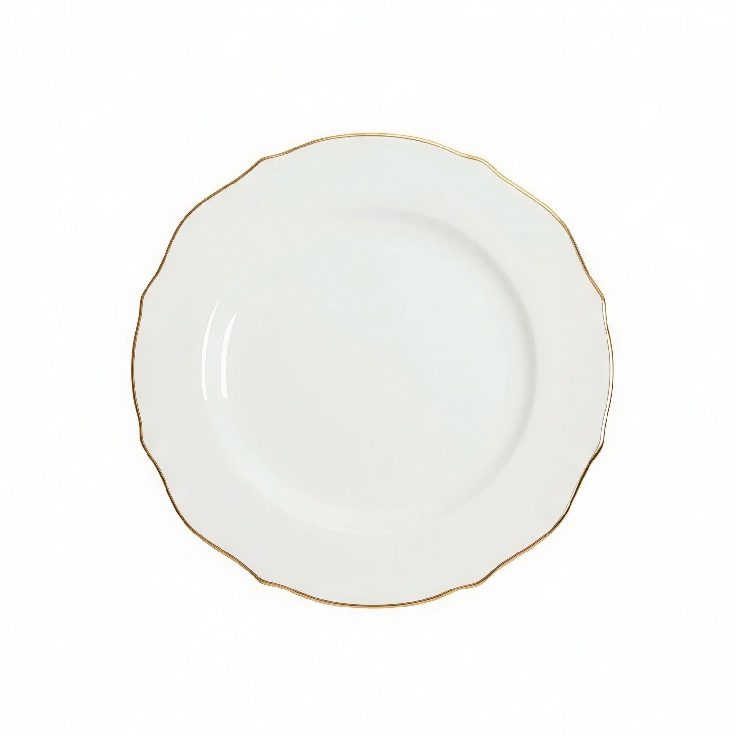 Vikko Shine Spring Gold 2 Dinner Plate Set Service For 4