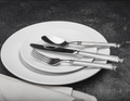 18/10 Colonnade 45 Piece Mirror Finish Flatware Set